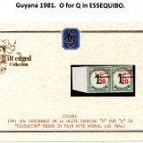 guyana-errors-3
