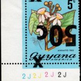 guyana-errors-5