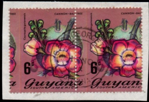 guyana-errors-7b.jpg
