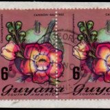 guyana-errors-7b
