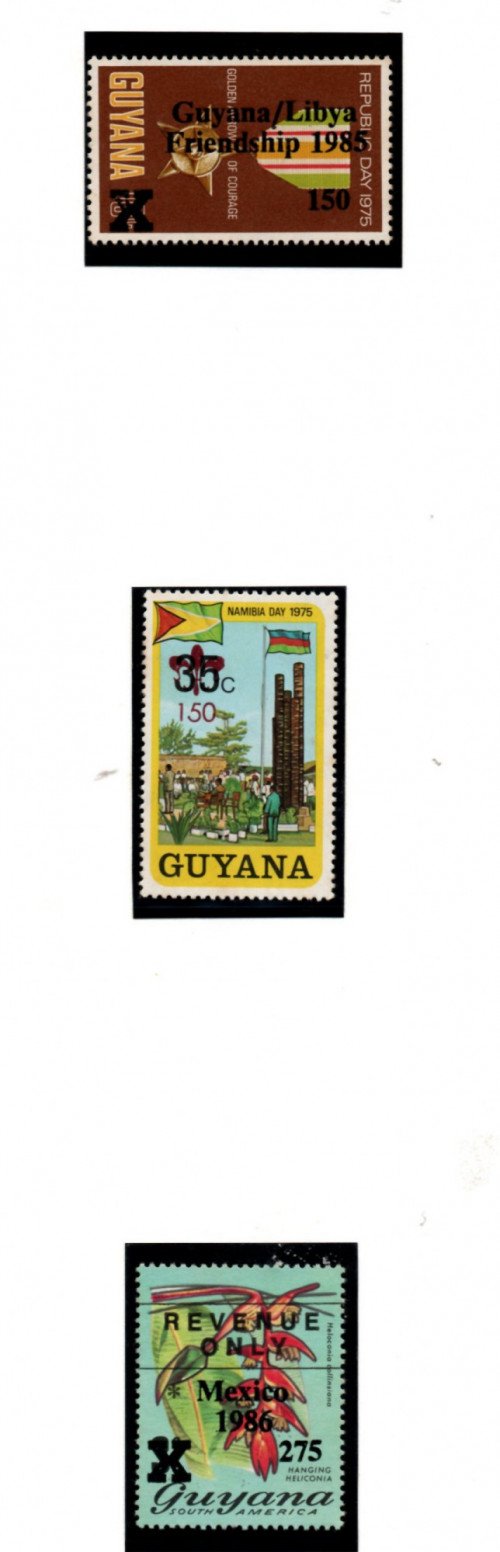 guy-290.jpg