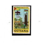 guy-290