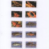 Scan_20201019-6