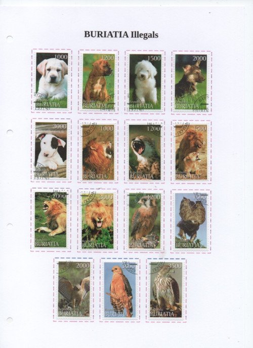Scan_20201019-7.jpg