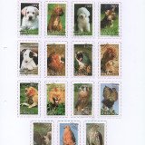 Scan_20201019-7
