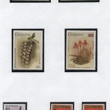 Scan_20201020-2