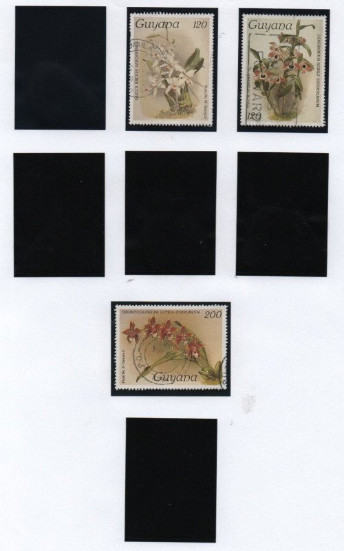 Scan_20201021-6.jpg