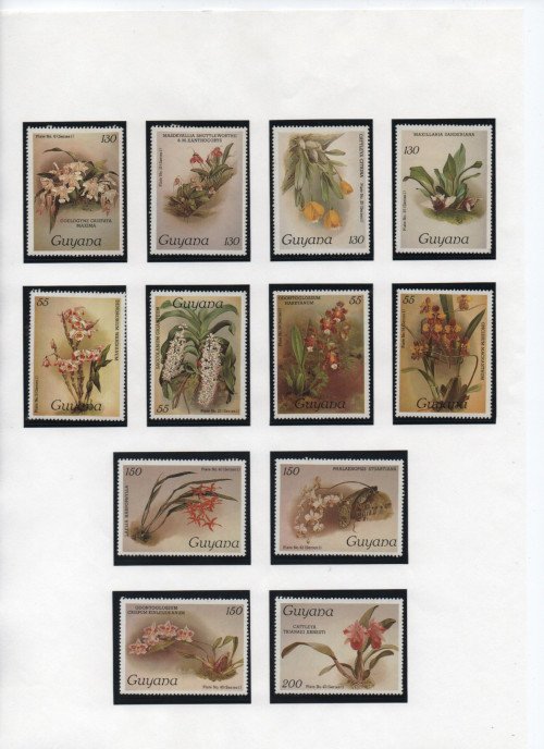 Scan_20201022-12.jpg