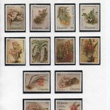 Scan_20201022-12