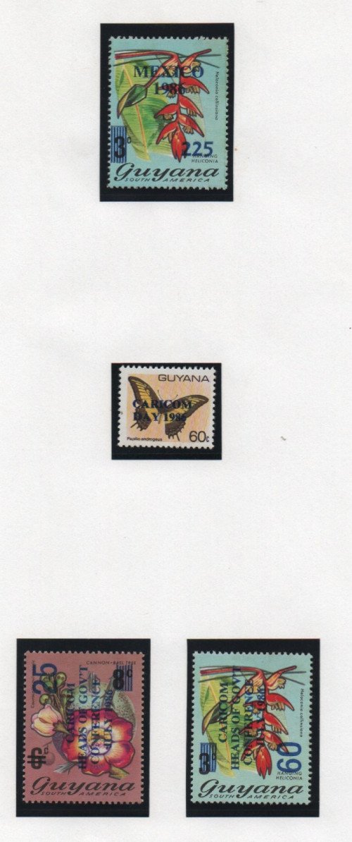 Scan_20201022-2.jpg
