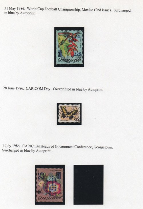 Scan_20201022.jpg