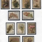 Scan_20201025-2