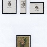Scan_20201025-4