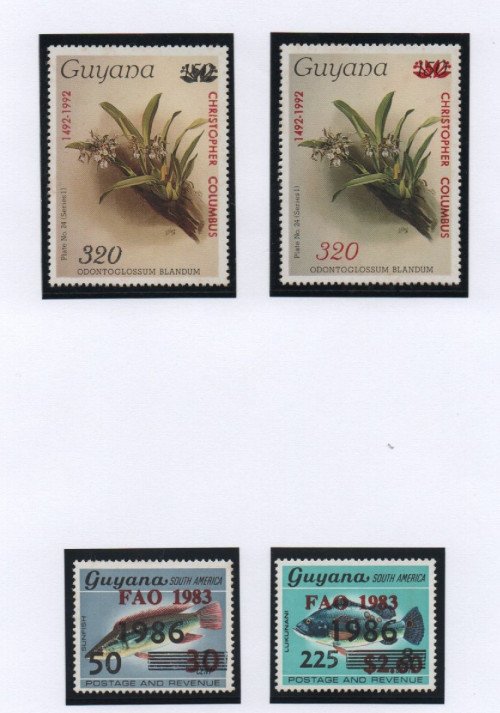 Scan_20201112-14.jpg