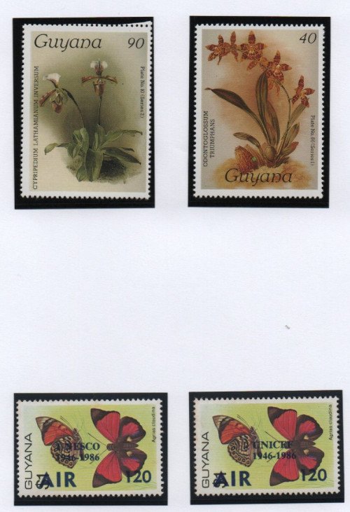 Scan_20201112-16.jpg
