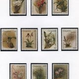 Scan_20201112-18