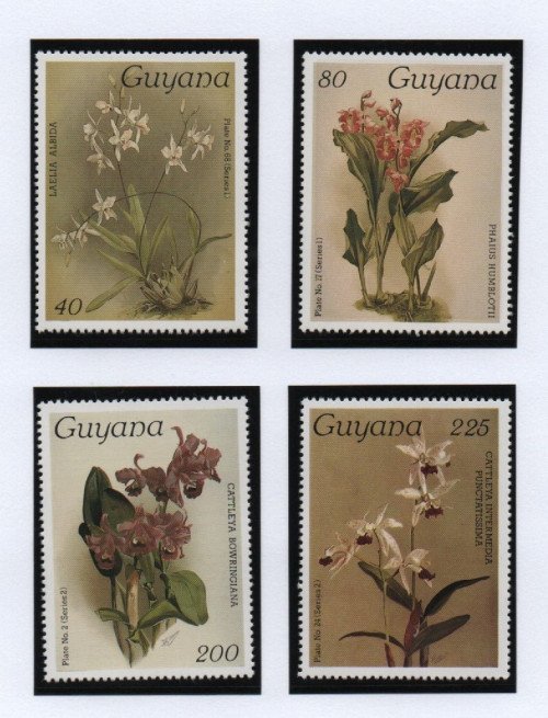 Scan_20201112-20.jpg