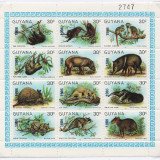 Scan_20201112-24