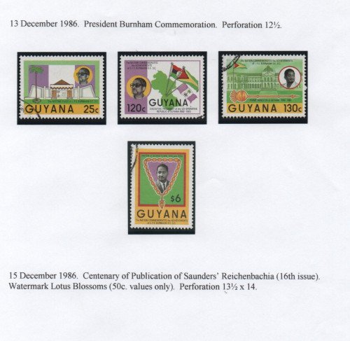 Scan_20201112-25.jpg