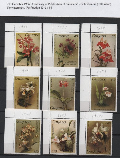 Scan_20201113-2.jpg