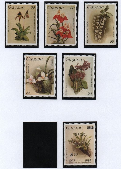 Scan_20201113-4.jpg
