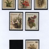 Scan_20201113-4