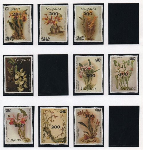 Scan_20201113-7.jpg