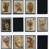 Scan_20201113-7