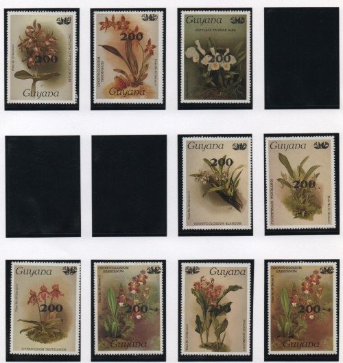 Scan_20201113-8.jpg