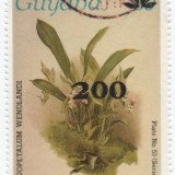 Scan_20201113-9