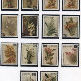 Scan_20201115-11