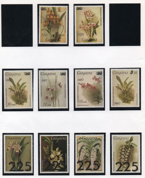 Scan_20201115-2.jpg