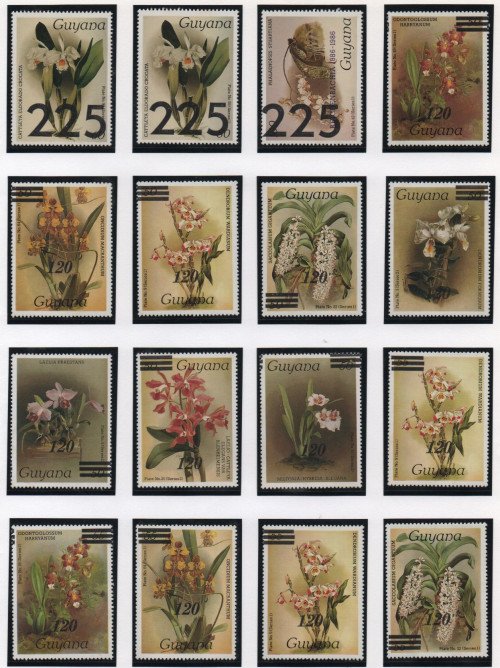Scan_20201115-4.jpg