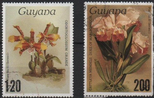 Scan_20201115-8.jpg