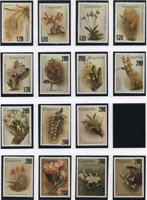 Scan_20201115-9.jpg