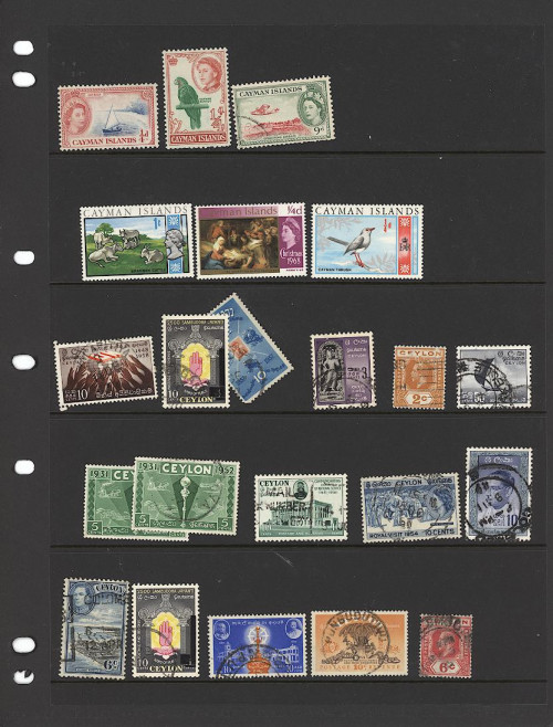 C-2020-11-21-0018.jpg