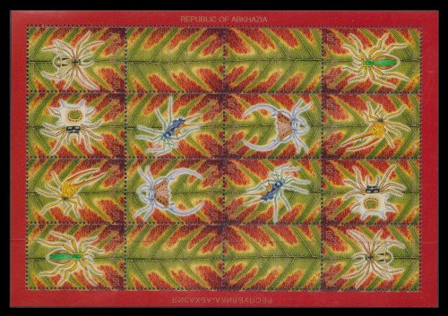 Brief description of this image