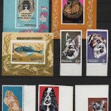 Scan_20210327-11