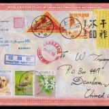 Coldland-Triangle-Cover-2003-0623