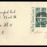 South-Africa-Bantams-6d