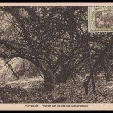 Ethiopia-127-1931-r75