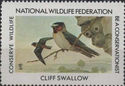 1984-cliff-swallow.jpg
