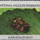 Scan_20210716-27212d54095a18408